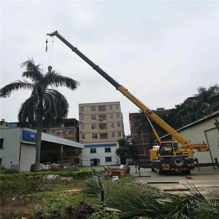 社旗县汽车吊出租多少钱？全面解析与市场行情